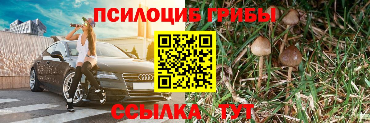 Галлюциногенные грибы Magic Shrooms Кунгур